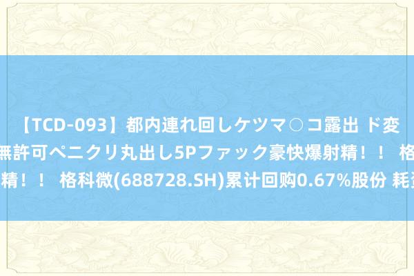 【TCD-093】都内連れ回しケツマ○コ露出 ド変態ニューハーフ野外で無許可ペニクリ丸出し5Pファック豪快爆射精！！ 格科微(688728.SH)累计回购0.67%股份 耗资2.43亿元