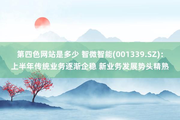 第四色网站是多少 智微智能(001339.SZ)：上半年传统业务逐渐企稳 新业务发展势头精熟