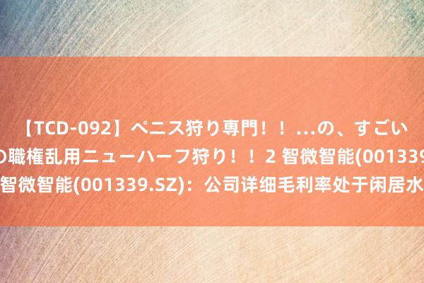 【TCD-092】ペニス狩り専門！！…の、すごい痴女万引きGメン達の職権乱用ニューハーフ狩り！！2 智微智能(001339.SZ)：公司详细毛利率处于闲居水平