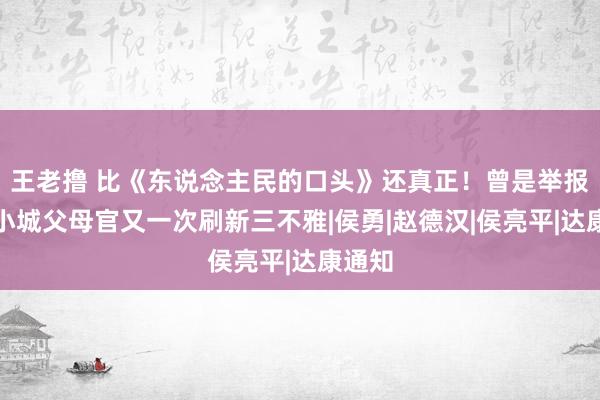 王老撸 比《东说念主民的口头》还真正！曾是举报者，小城父母官又一次刷新三不雅|侯勇|赵德汉|侯亮平|达康通知